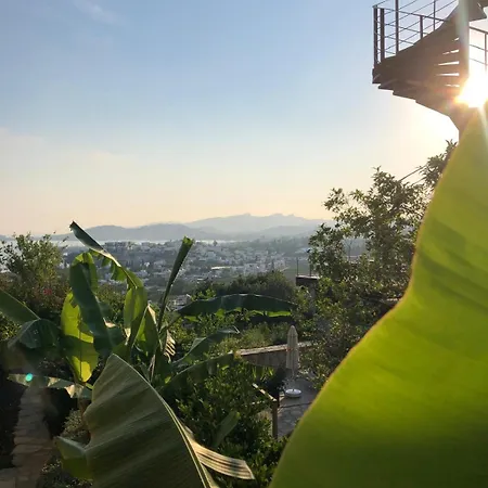 Spektr Boutique Hotel Yalikavak