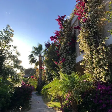 Hotell Spektr Boutique Yalıkavak